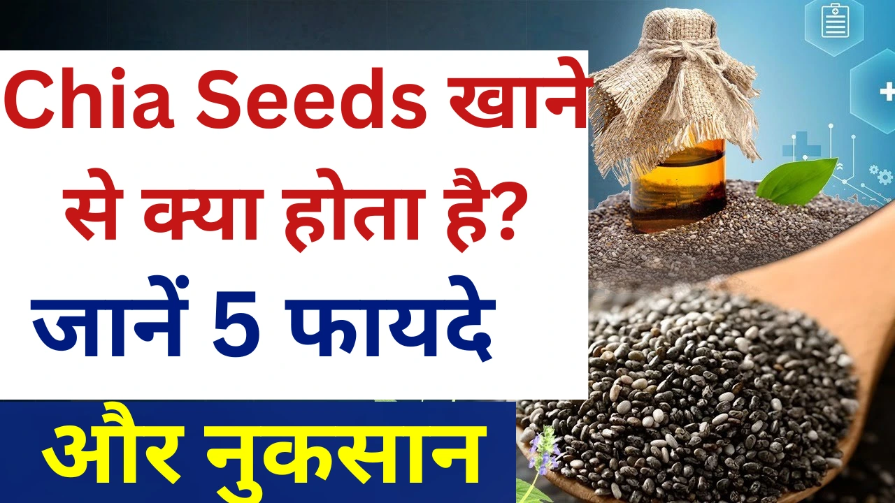 Chia seeds benefits