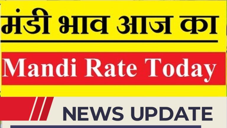 Mandi Rate Today