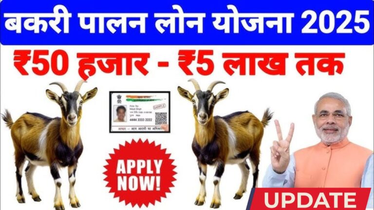 Bakri palan