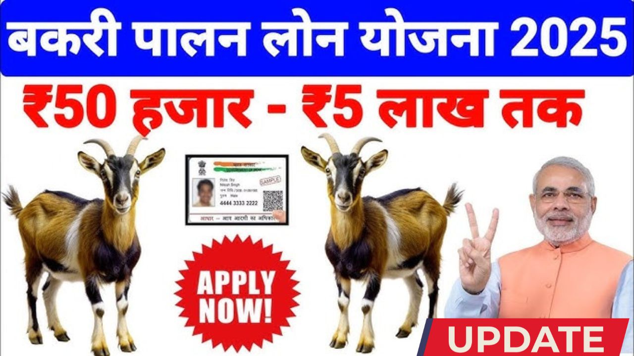 Bakri palan
