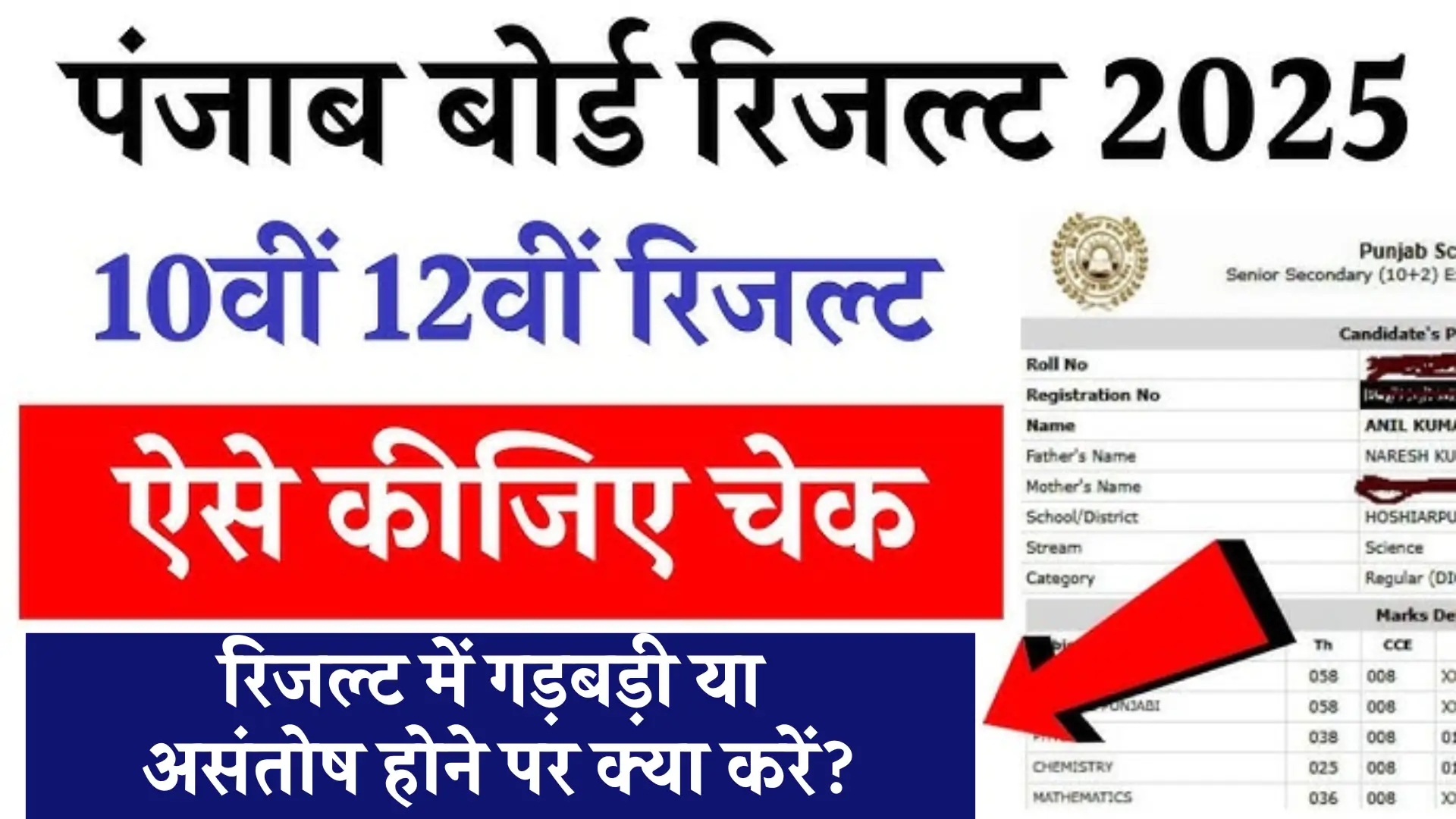 Punjab Board Result