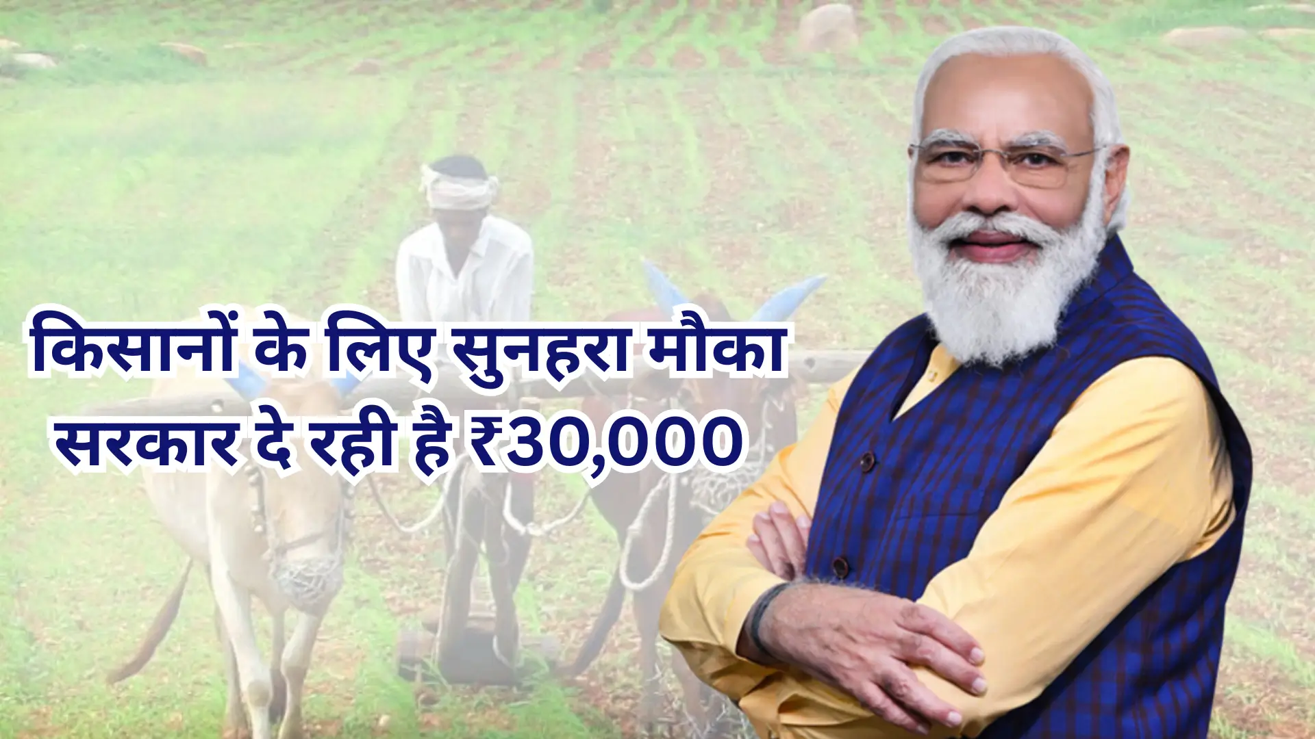 Agri-Business Schemes