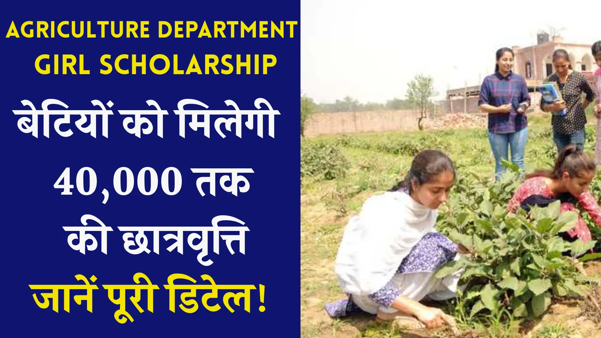 Agriculture Department Girl Scholarship