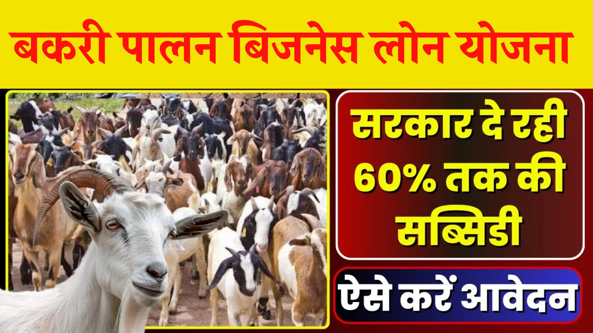Bakri Palan Business Loan Yojana